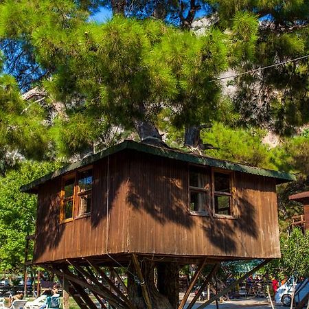 Gorge Club Hotell Saklikent Rom bilde