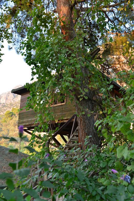 Gorge Club Hotell Saklikent Rom bilde