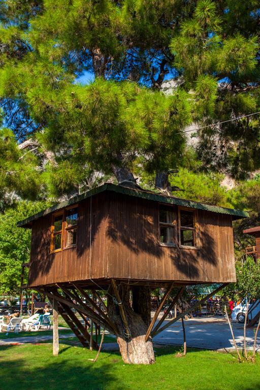 Gorge Club Hotell Saklikent Rom bilde