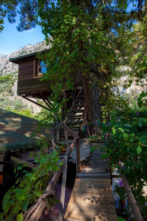 Gorge Club Hotell Saklikent Rom bilde