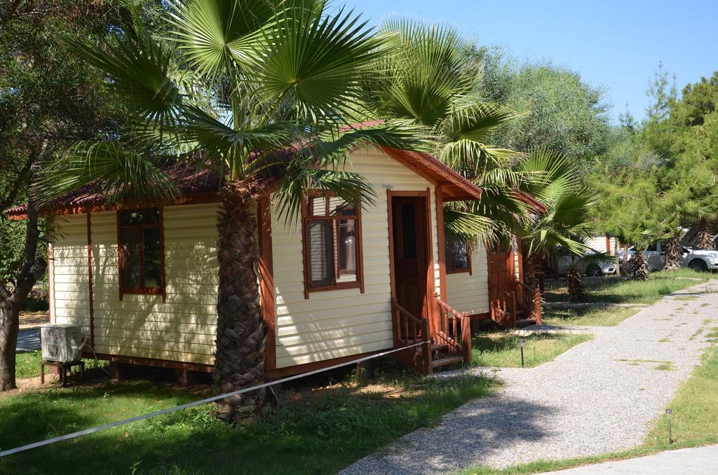 Gorge Club Hotell Saklikent Rom bilde